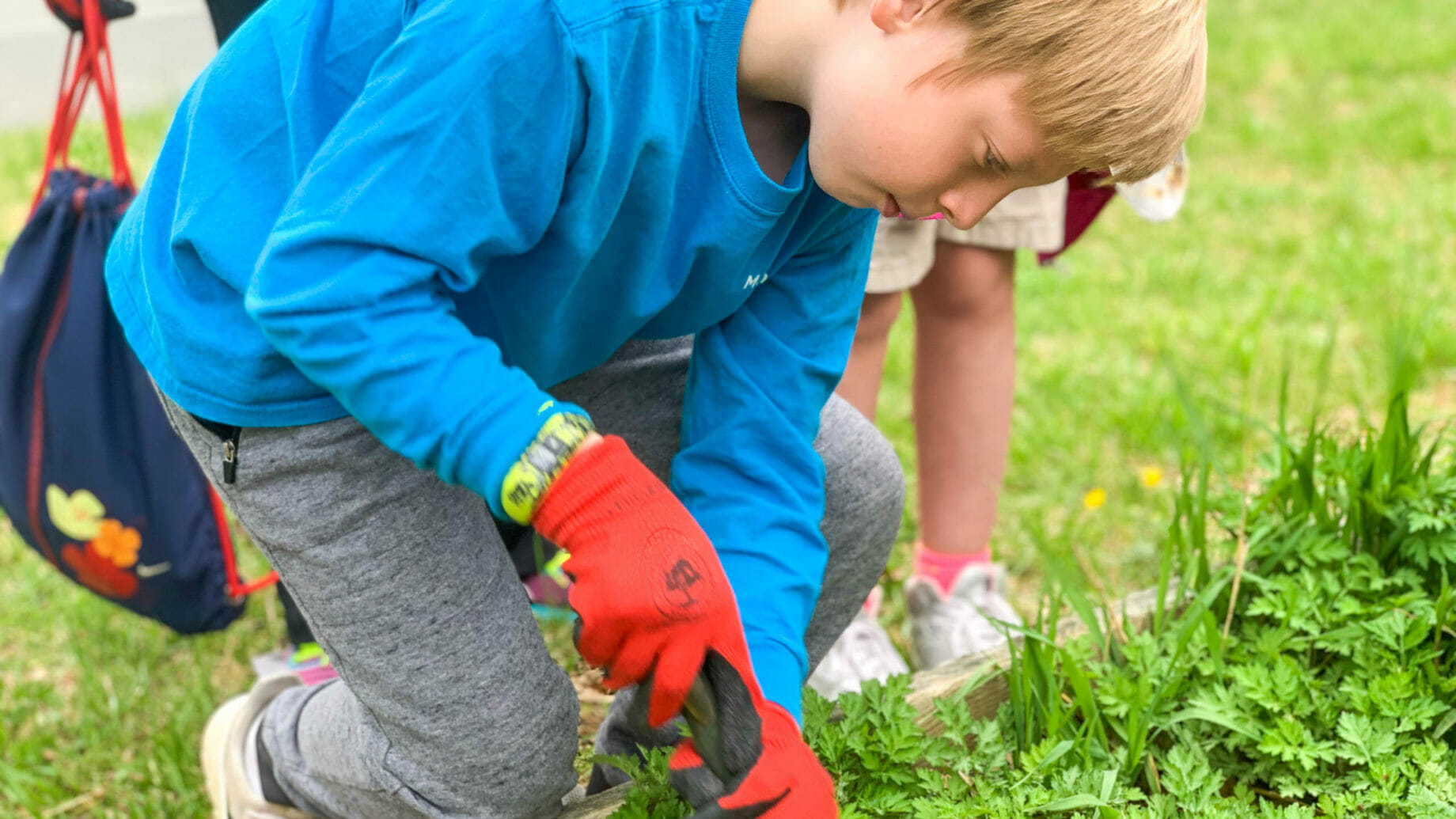 Students Gardening