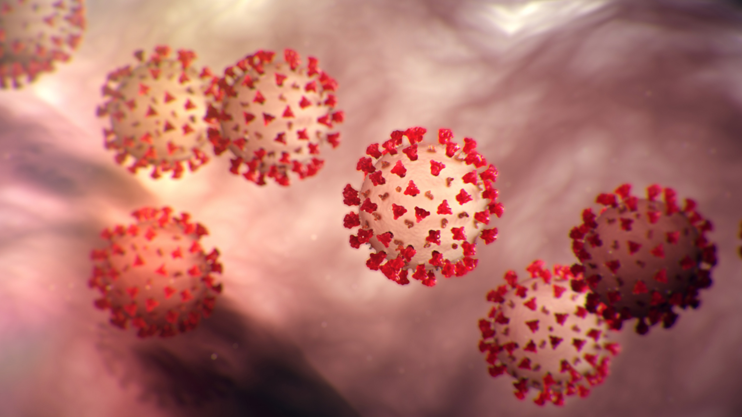 Coronavirus (COVID-19)