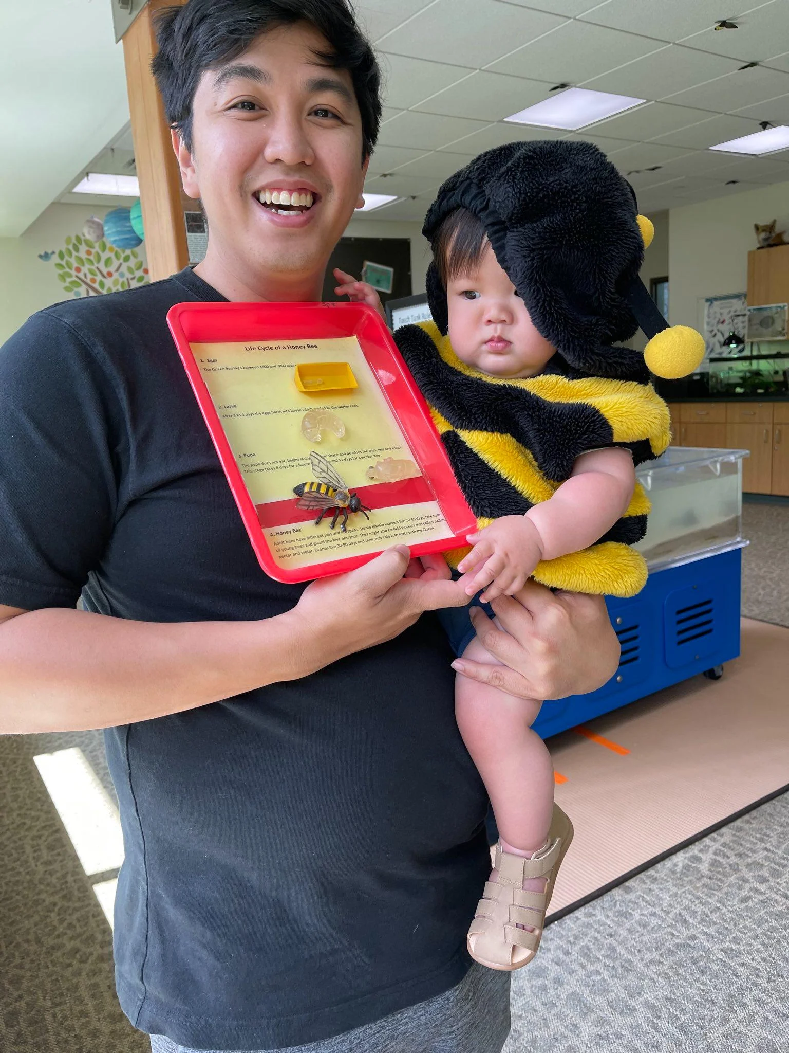 An adult holding a baby dressed in a bee costume and a display with an insect model inside a brightly lit indoor setting.