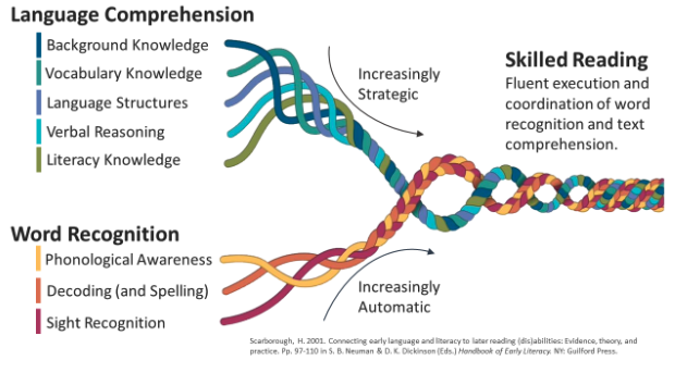 A diagram showing how language comprehension and word recognition skills intertwine to support skilled reading, with each skill made up of various components.