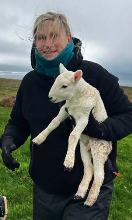 A person wearing black clothing and gloves holds a young white lamb in an outdoor grassy field on a cloudy day.