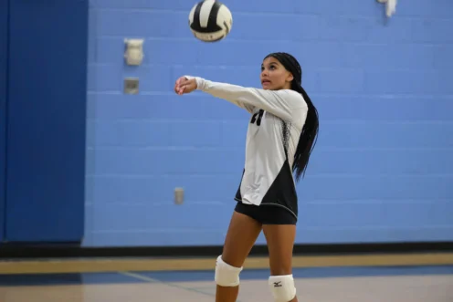 A volleyball player in a white and blue uniform prepares to bump the ball in an indoor gym with blue walls.
